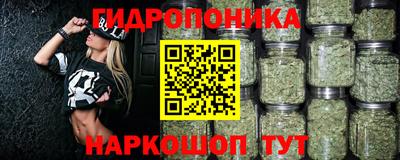 спиды Аргун