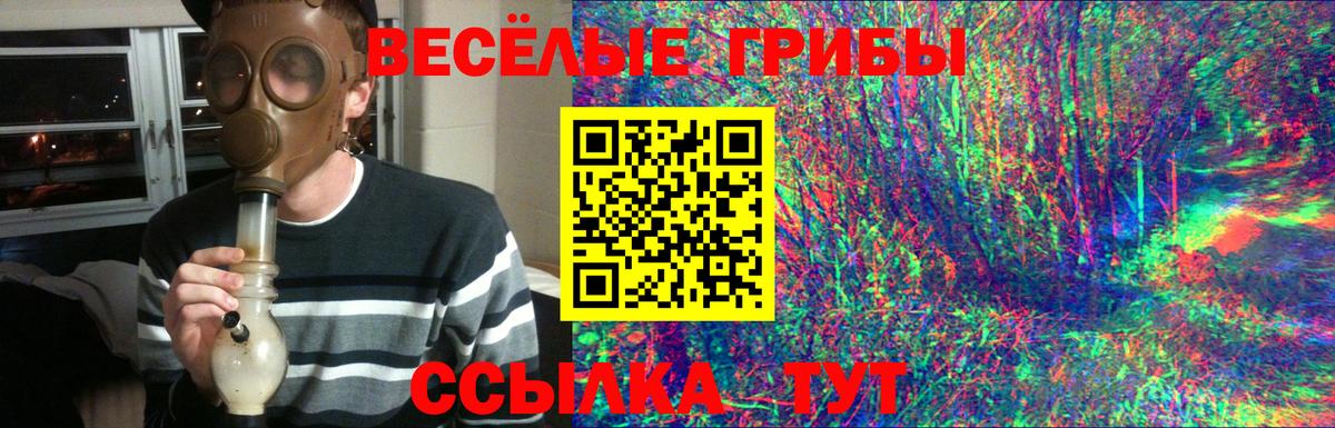 Псилоцибиновые грибы MAGIC MUSHROOMS  наркота  Белово  Вход с VPN 